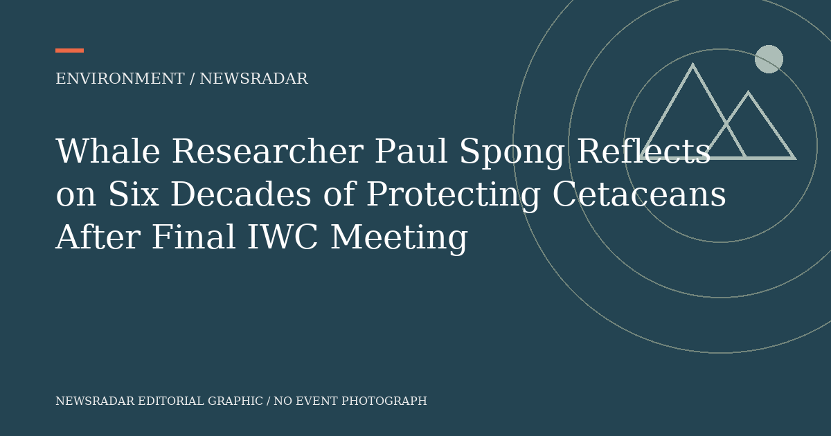 Original NewsRadar editorial graphic; not an event photograph