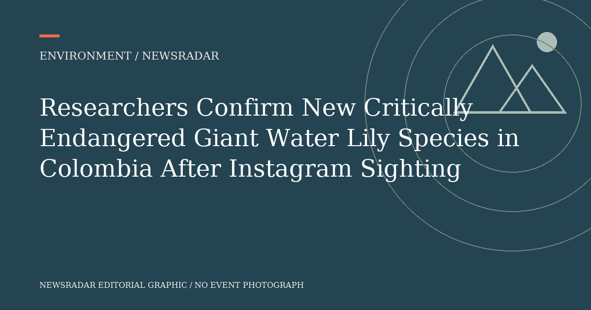 Original NewsRadar editorial graphic; not an event photograph