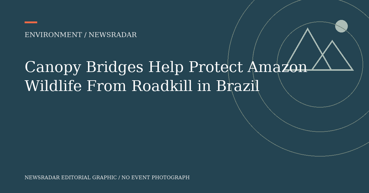 Original NewsRadar editorial graphic; not an event photograph