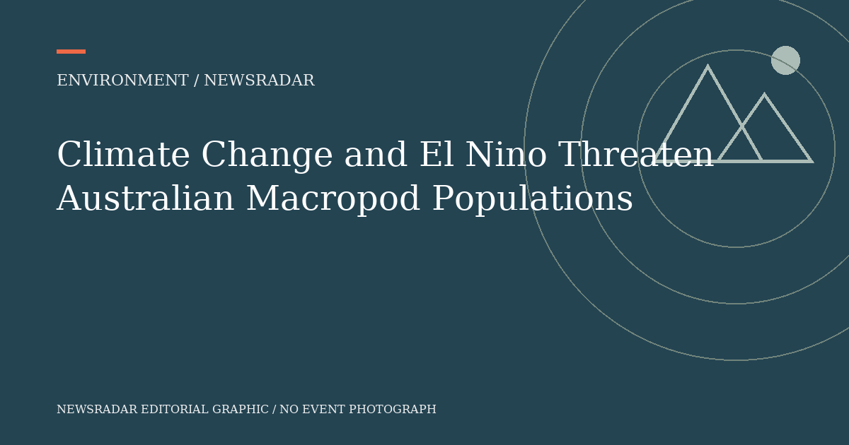 Original NewsRadar editorial graphic; not an event photograph